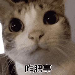 DƬ